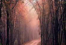 华体会：五大联赛球队近10场联赛积分：巴黎、罗马28分居首，巴萨25分.