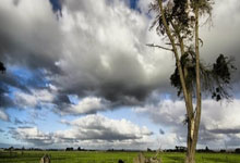 中国国际级裁判员傅明连续第二次受邀执法海湾杯.