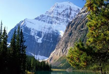 获2034年世界杯主办权 沙特要展现雄心壮志.