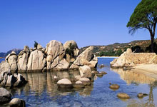 达利奇：利瓦科维奇在关键时刻表现出色；相信球队能晋级决赛.